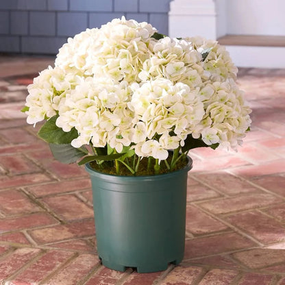 💥Last Day 69% OFF💐Artificial Outdoor Hydrangea Flowers - UV resistant, Waterproof, Windproof