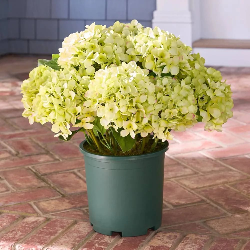 💥Last Day 69% OFF💐Artificial Outdoor Hydrangea Flowers - UV resistant, Waterproof, Windproof