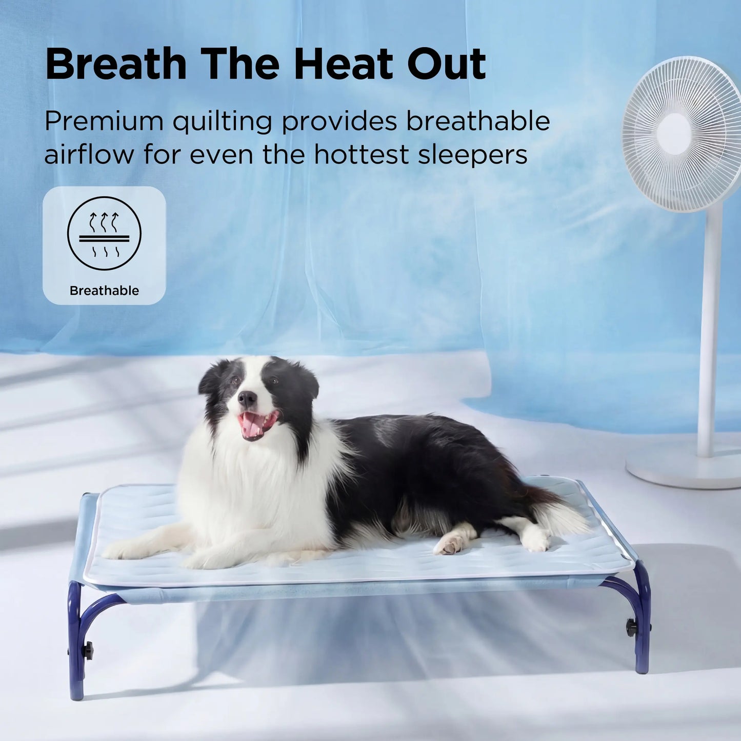 🔥 HOT SALE 50% OFF – Pet Cooling Mat | Instant Cooling Relief for Overheated Pets