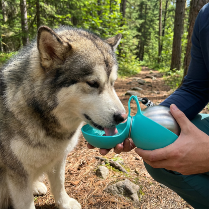 2-in-1 Dog Travel Water Bottle – Leakproof Stainless Steel Bottle with Silicone Bowl