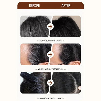 🥳2026 HOT SALE🥳💞50K+ SOLD!🎨🪥 50% OFF! Disposable Hair Color Refill with Comb – No mix, just comb. Gentle formula, travel‐friendly. 3 shades: Black, Brown, Granny Gray. 🌟✨