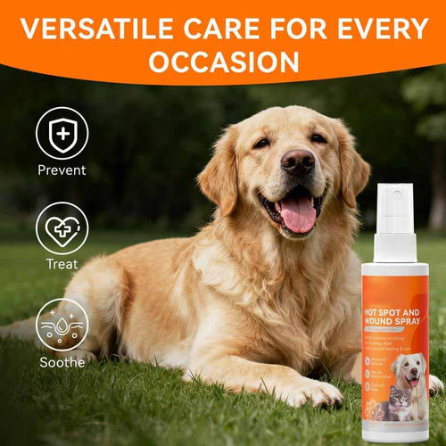 🐶Itch Relief Spray –Vet Recommended Skin Soothing Quantum Silver Spray for Dogs & Cats