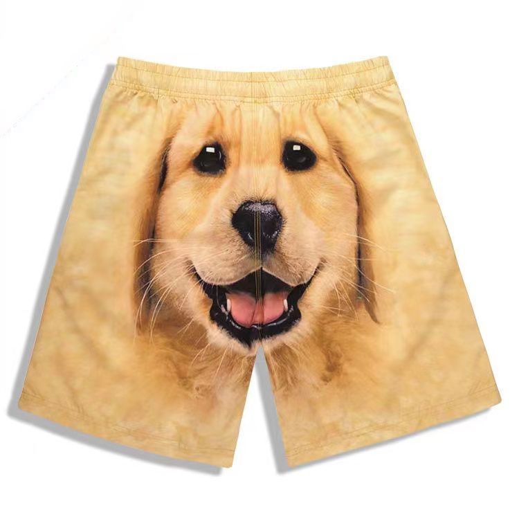 Quirky Casual Sports Shorts