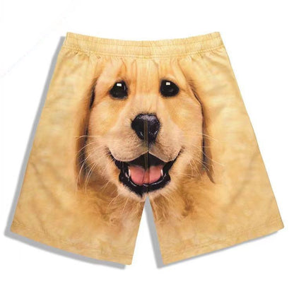 Quirky Casual Sports Shorts