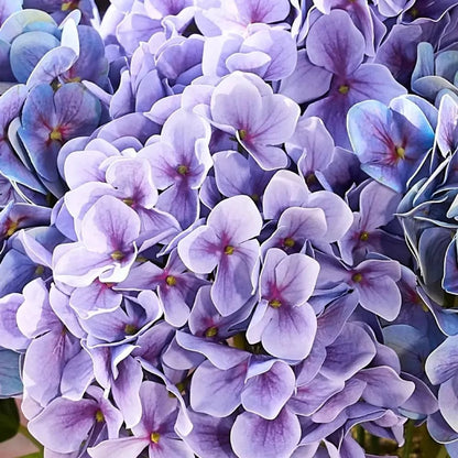 💥Last Day 69% OFF💐Artificial Outdoor Hydrangea Flowers - UV resistant, Waterproof, Windproof