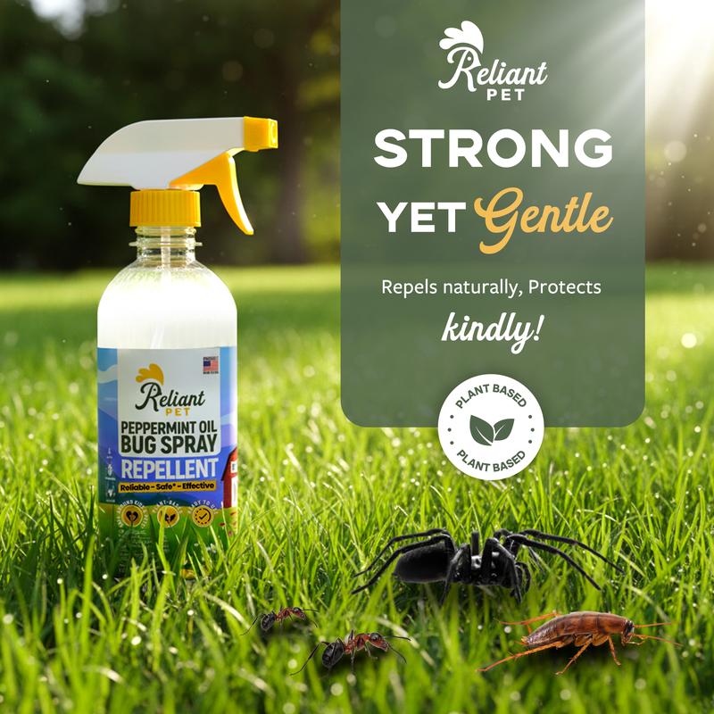 🌿🪳Natural Peppermint Bug Spray — 16oz Kid & Pet Safe Insect Repellent