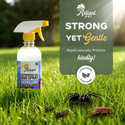 🌿🪳Natural Peppermint Bug Spray — 16oz Kid & Pet Safe Insect Repellent