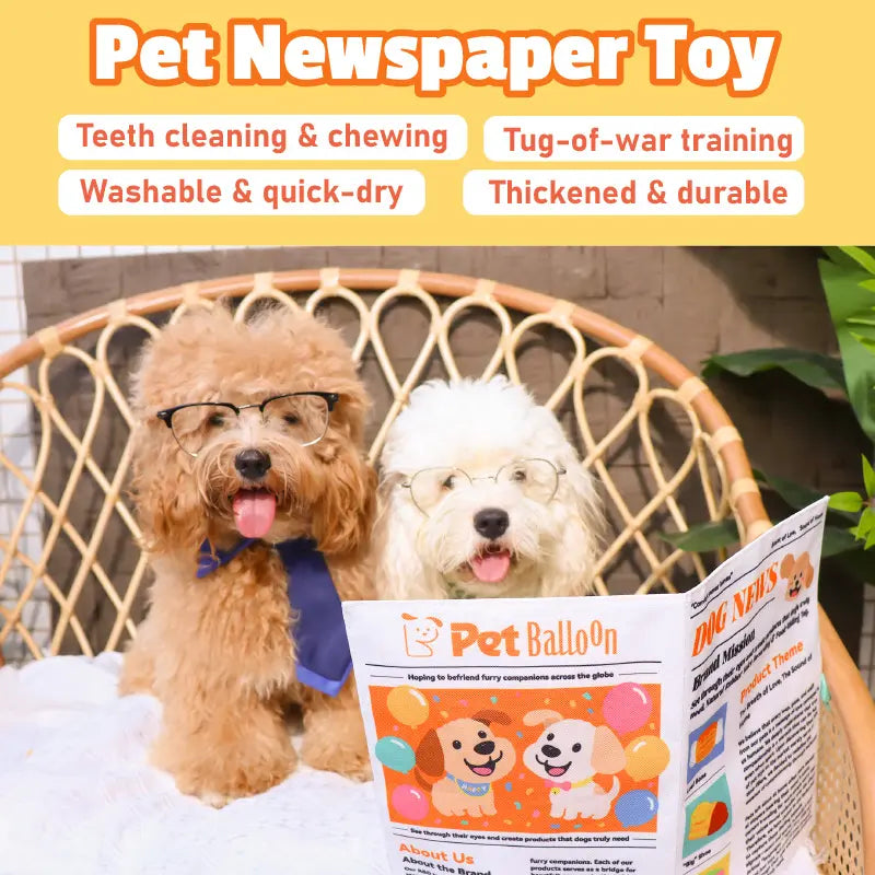 🔥Buy 1 Get 1 Free🔥🐶Durable Newspaper Dog Toy