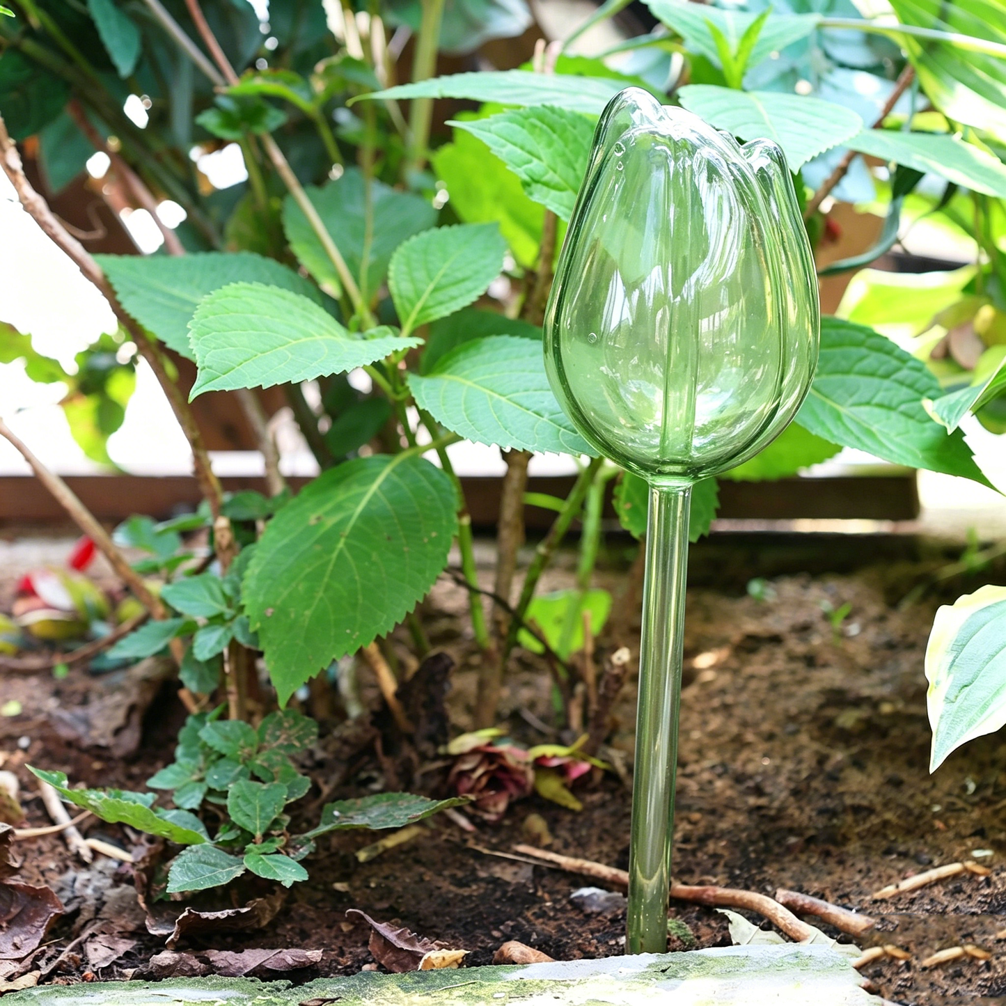 🌷Lazy plant hack: 49% OFF-Tulip Automatic Plant Watering Balls| 3-7 Days Self-Watering
