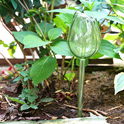 🌷Lazy plant hack: 49% OFF-Tulip Automatic Plant Watering Balls| 3-7 Days Self-Watering