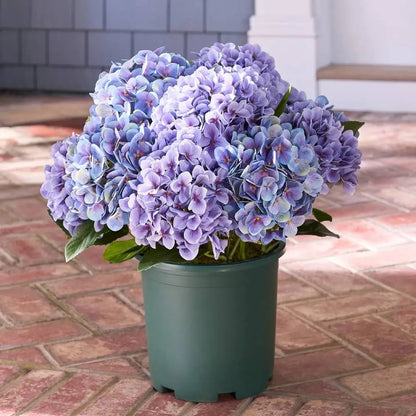 💥Last Day 69% OFF💐Artificial Outdoor Hydrangea Flowers - UV resistant, Waterproof, Windproof