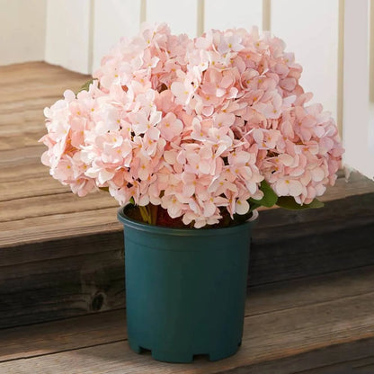 💥Last Day 69% OFF💐Artificial Outdoor Hydrangea Flowers - UV resistant, Waterproof, Windproof
