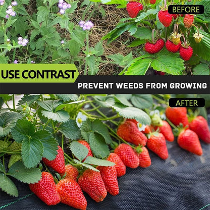 🔥2025 New Arrival🔥 Biodegradable Weed Barrier Fabric