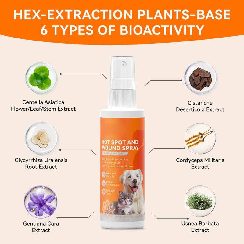 🐶Itch Relief Spray –Vet Recommended Skin Soothing Quantum Silver Spray for Dogs & Cats