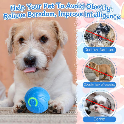 Buy 1 Get 1 Free🔥 Interactive Automatic Dog Toy Ball – USB Rechargeable