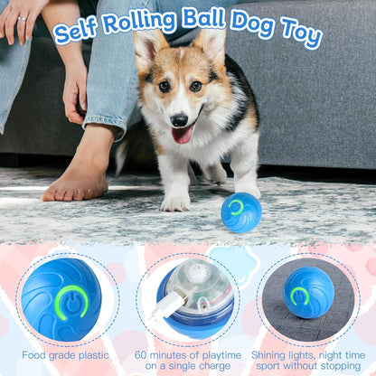 Buy 1 Get 1 Free🔥 Interactive Automatic Dog Toy Ball – USB Rechargeable