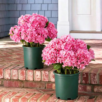 💥Last Day 69% OFF💐Artificial Outdoor Hydrangea Flowers - UV resistant, Waterproof, Windproof