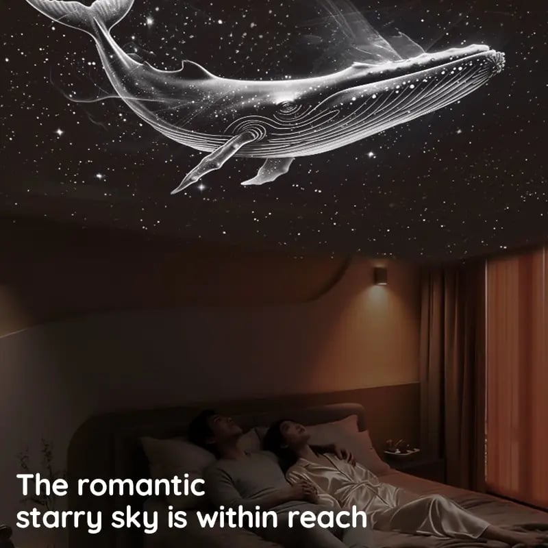 Bring the Universe to Their Bedroom 🌍💫
