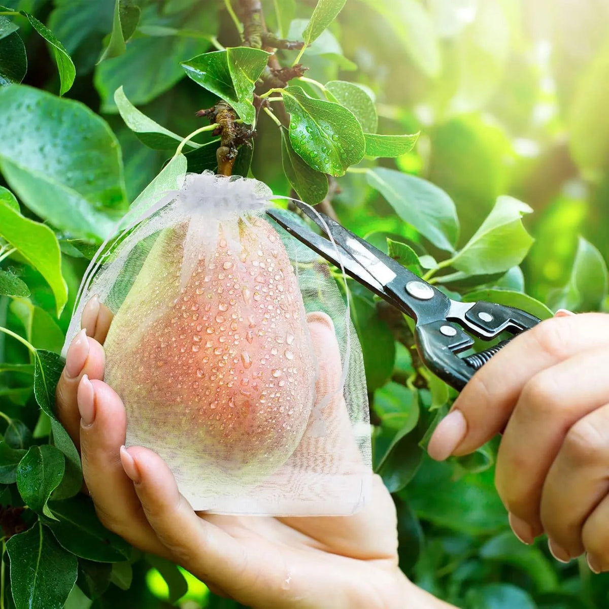 🔥Last Day 40%Off ✨Reusable Fruit Protection Bags🌿