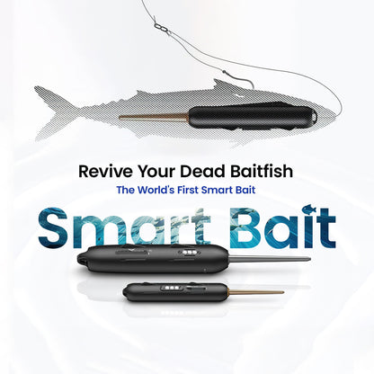 Electric Live Bait Reviver Fishing Gear 🎣