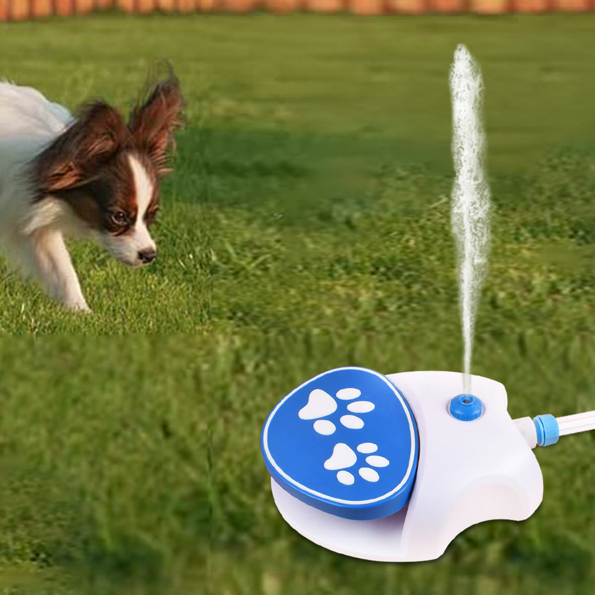 Outdoor Dog Water Fountain, Step On Foot Activated Dog Water Dispenser