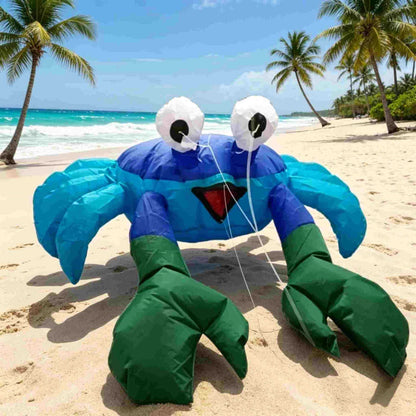 🦀 Bouncing Buddies: The Side-Scurrying Sand Crabs!