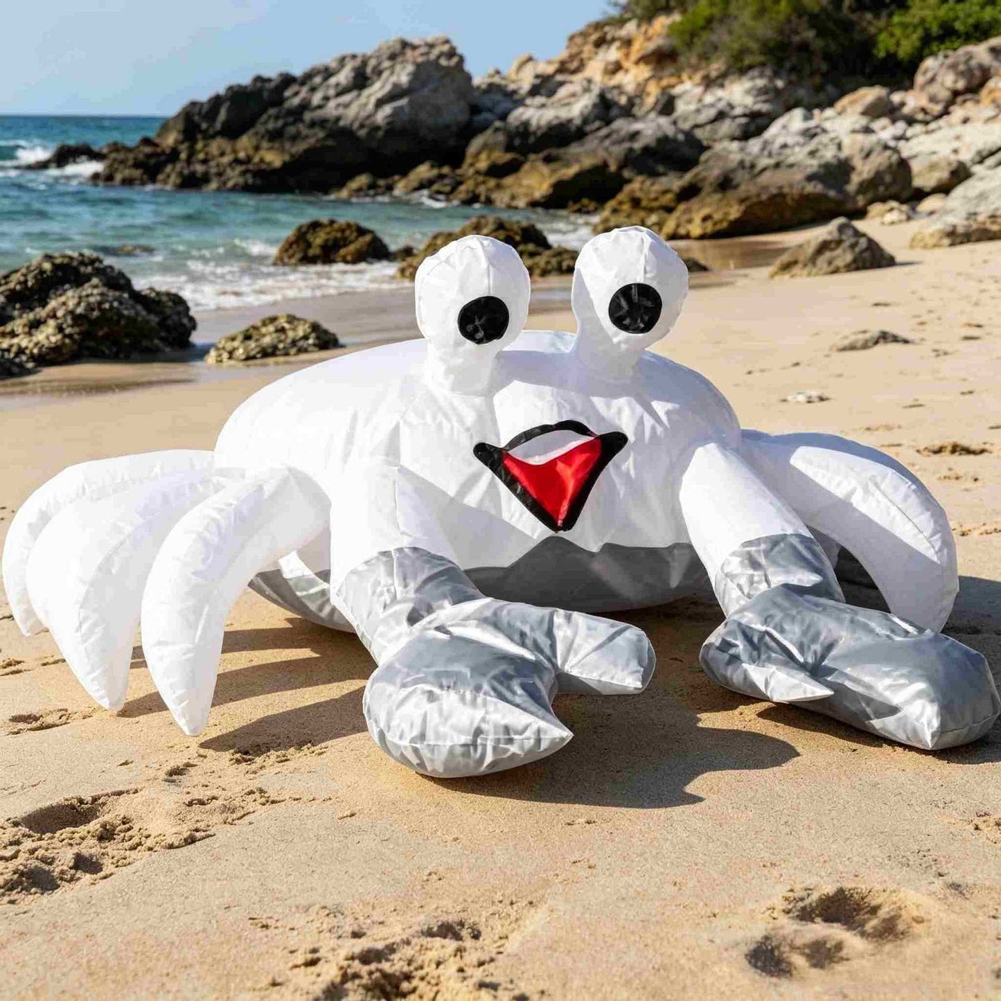 🦀 Bouncing Buddies: The Side-Scurrying Sand Crabs!