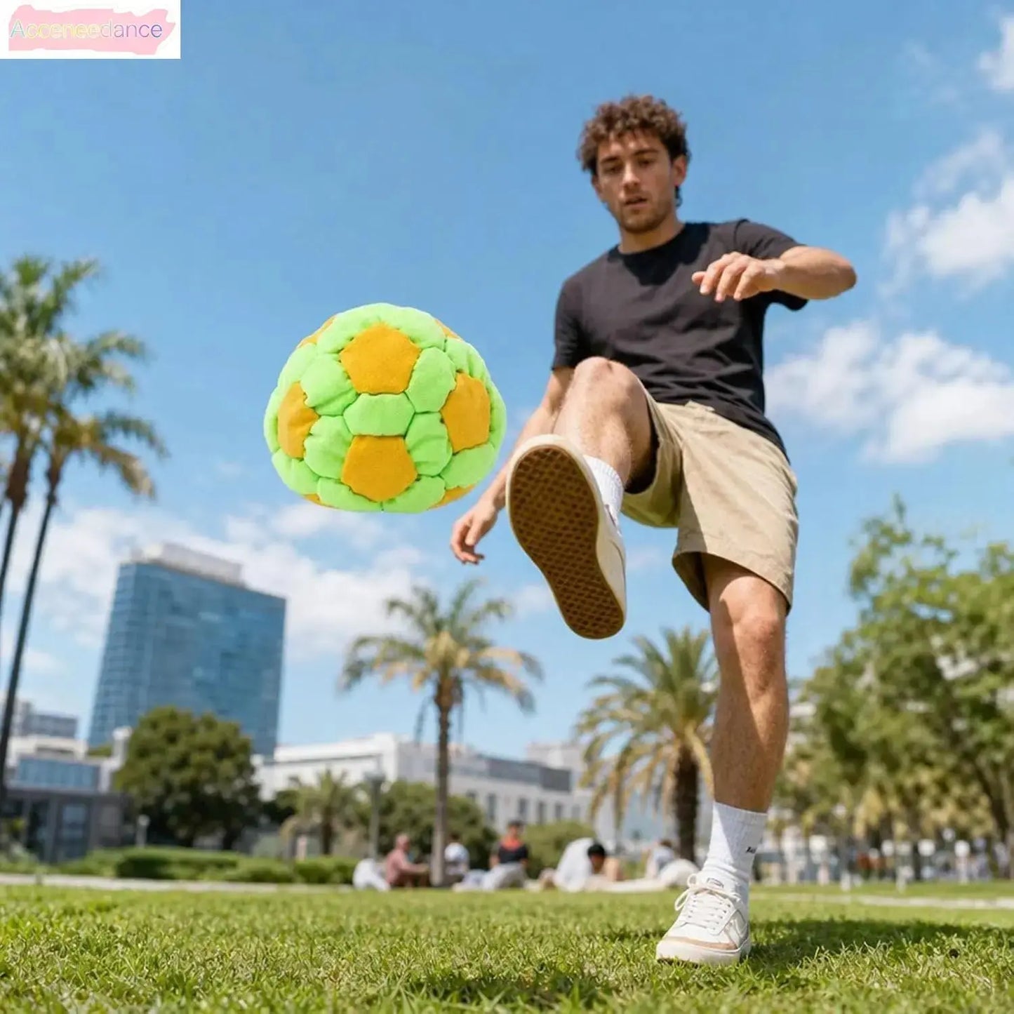 6 Pack 2.75 Inch Plush Soccer Hacky