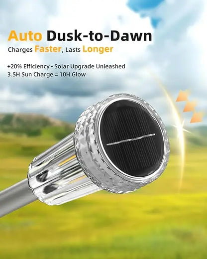 🏡 Solar Pathway Lights - Bright Warm LED for Garden, Yard & Walkway✨