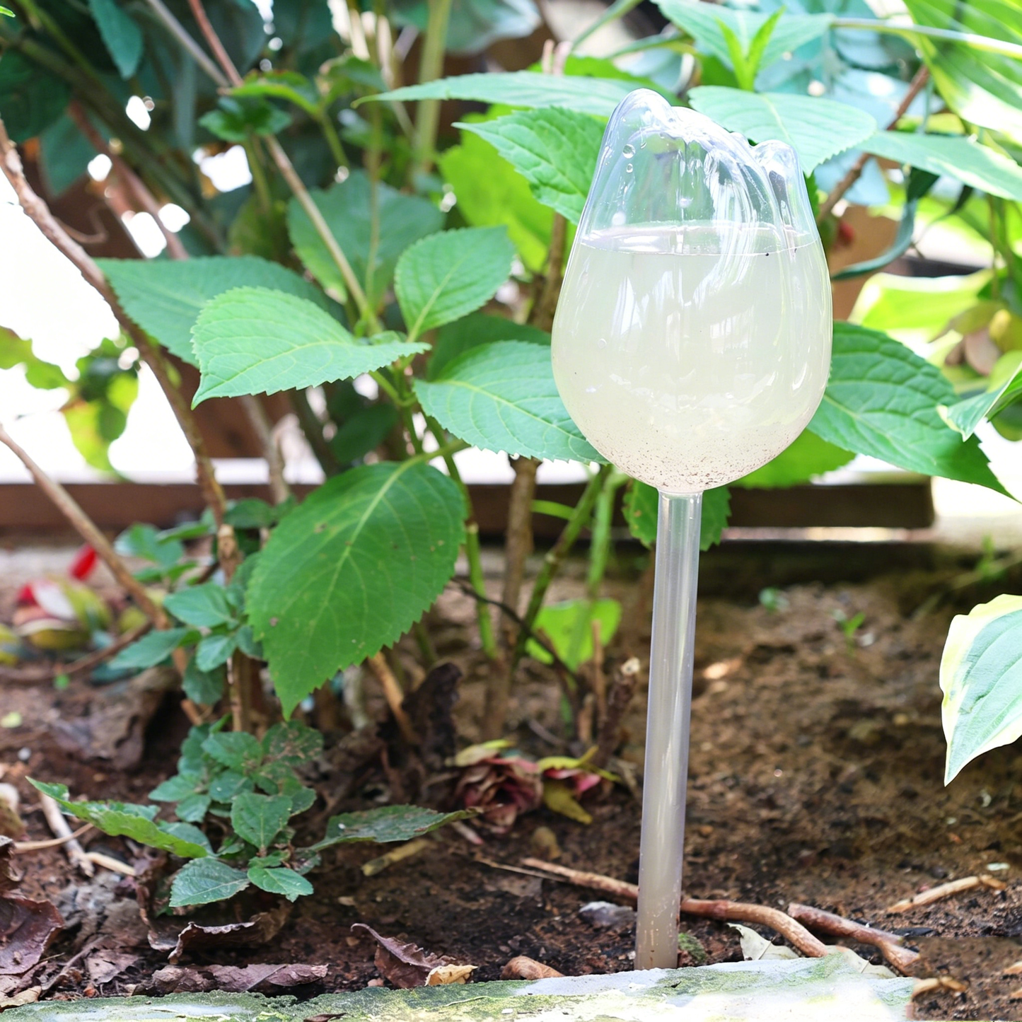 🌷Lazy plant hack: 49% OFF-Tulip Automatic Plant Watering Balls| 3-7 Days Self-Watering