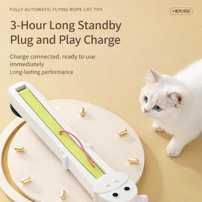 Door Mounted Automatic Cat Interactive Toy