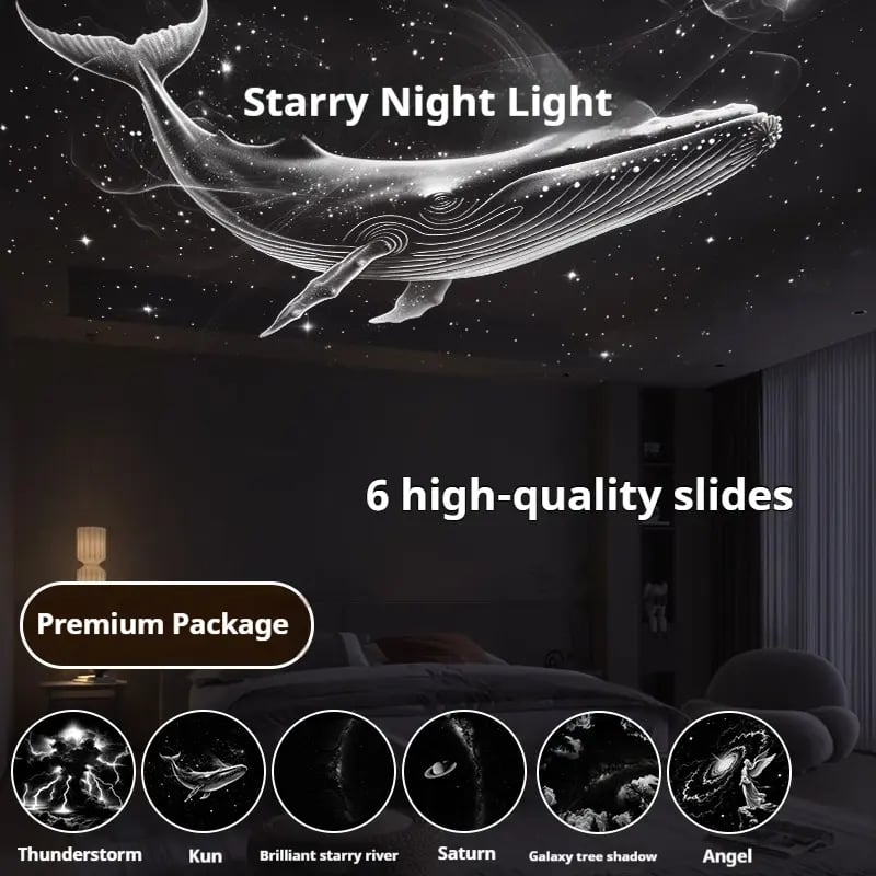 Bring the Universe to Their Bedroom 🌍💫