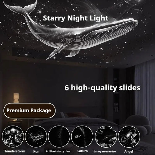 Bring the Universe to Their Bedroom 🌍💫