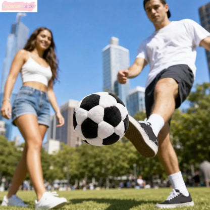 6 Pack 2.75 Inch Plush Soccer Hacky