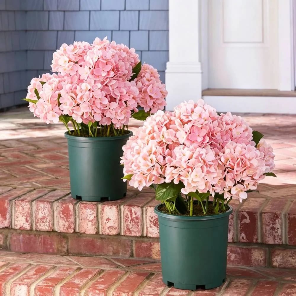 💥Last Day 69% OFF💐Artificial Outdoor Hydrangea Flowers - UV resistant, Waterproof, Windproof