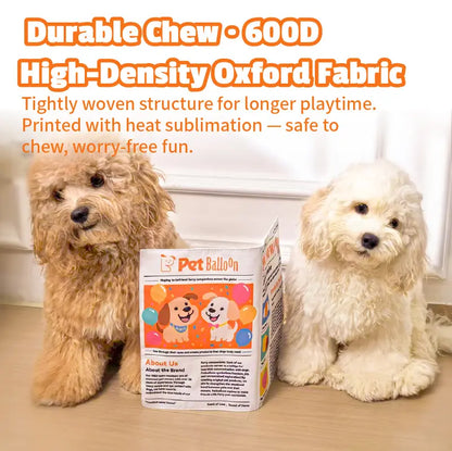 🔥Buy 1 Get 1 Free🔥🐶Durable Newspaper Dog Toy