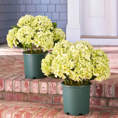 💥Last Day 69% OFF💐Artificial Outdoor Hydrangea Flowers - UV resistant, Waterproof, Windproof