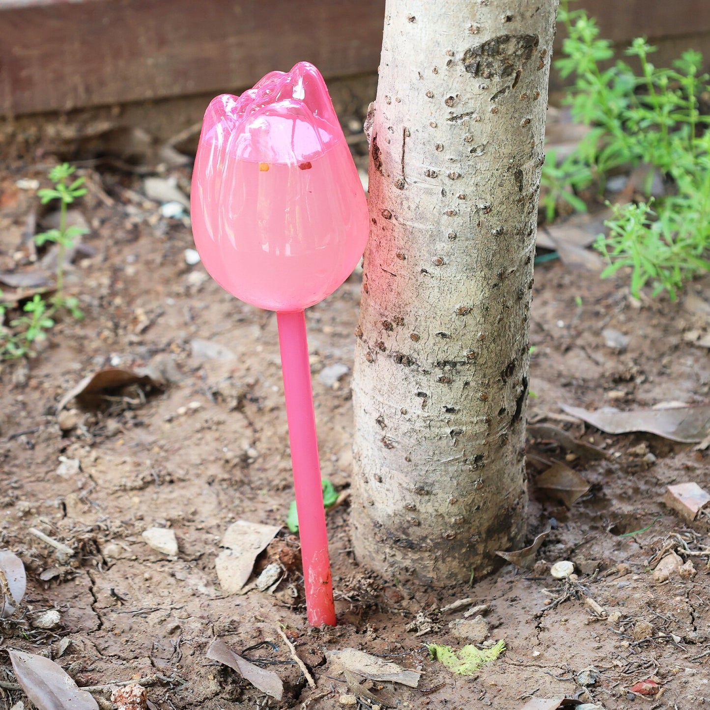 🌷Lazy plant hack: 49% OFF-Tulip Automatic Plant Watering Balls| 3-7 Days Self-Watering