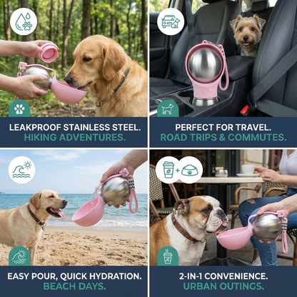2-in-1 Dog Travel Water Bottle – Leakproof Stainless Steel Bottle with Silicone Bowl