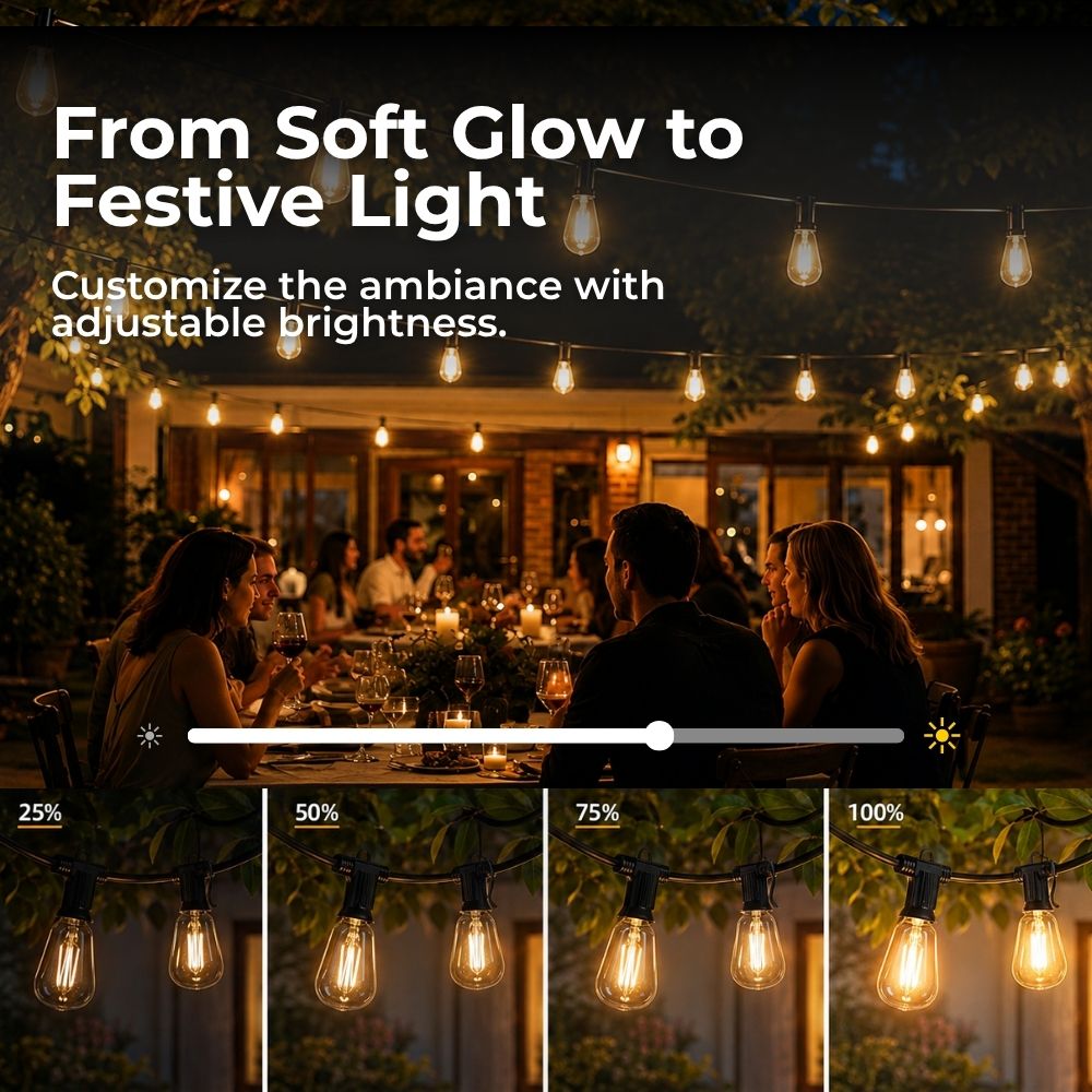 Bulbits Solar String Lights