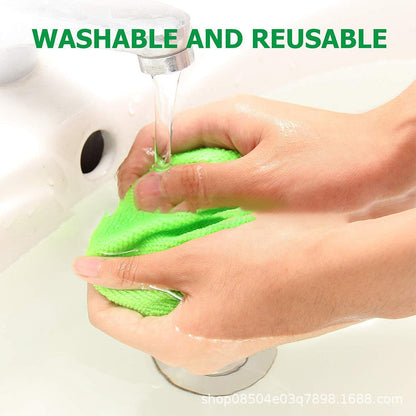 Pro-Clean Extendable Windshield Cleaning Kit