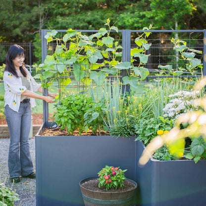 Vego Modern Privacy Trellis
